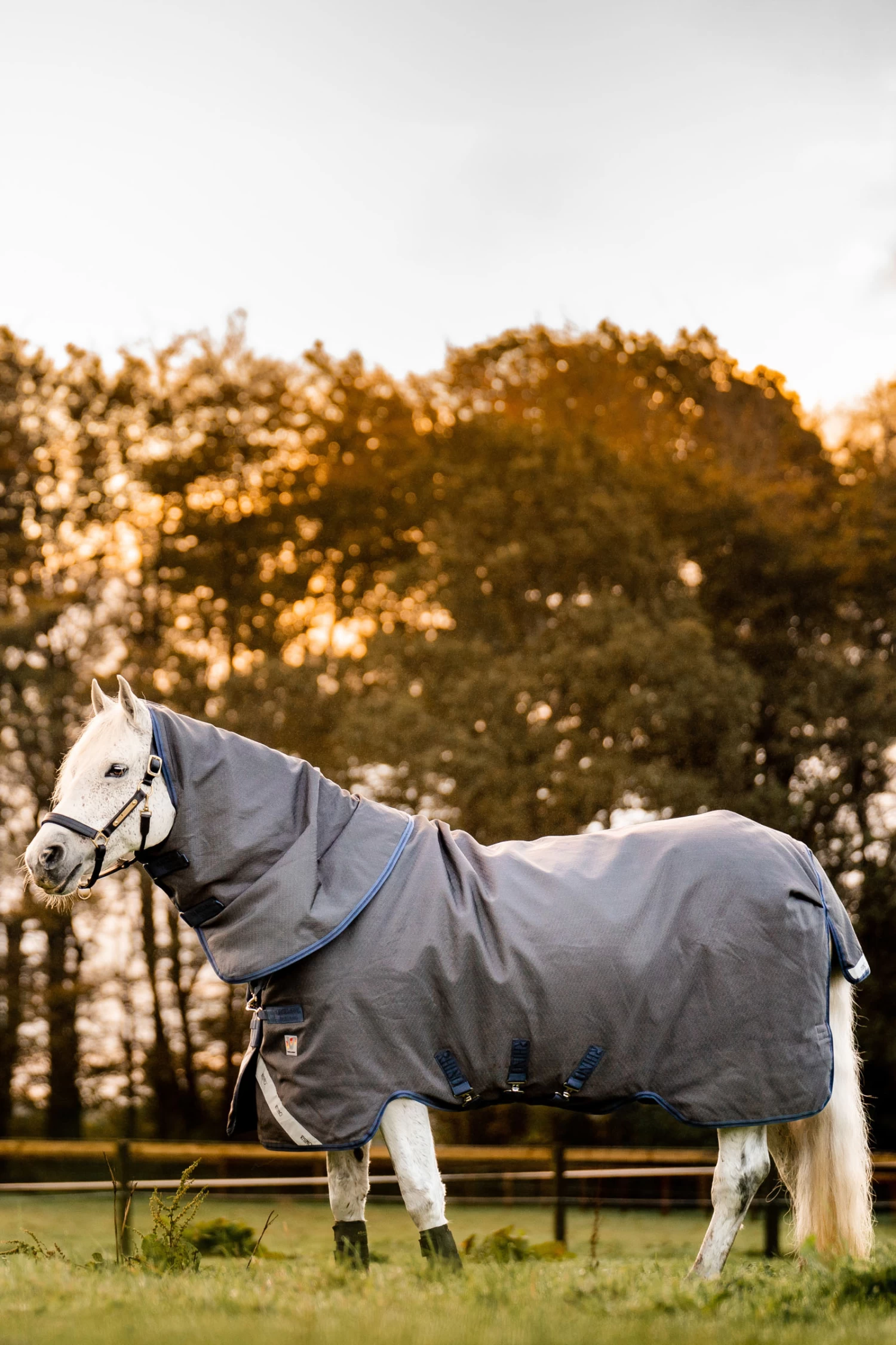 Horseware Rhino Hexstop Vari-Layer Weidedecke, 250g 3 Horseware Rhino Hexstop Vari-Layer Weidedecke, 250g