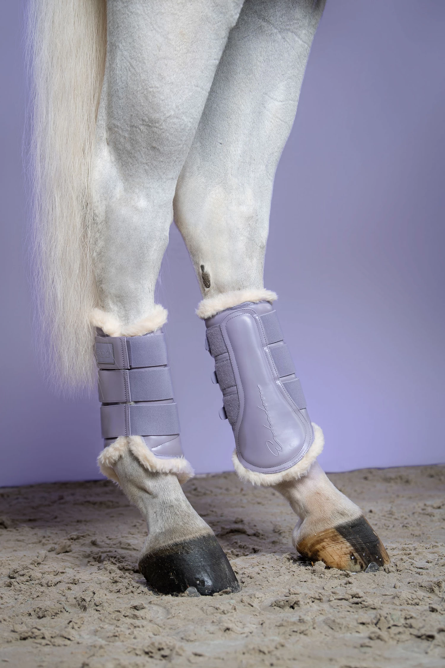 Eskadron Classic Sports FS22 Glamslate Evo-Wool Gamaschen 6 Eskadron Classic Sports FS22 Glamslate Evo-Wool Gamaschen – Bild 4