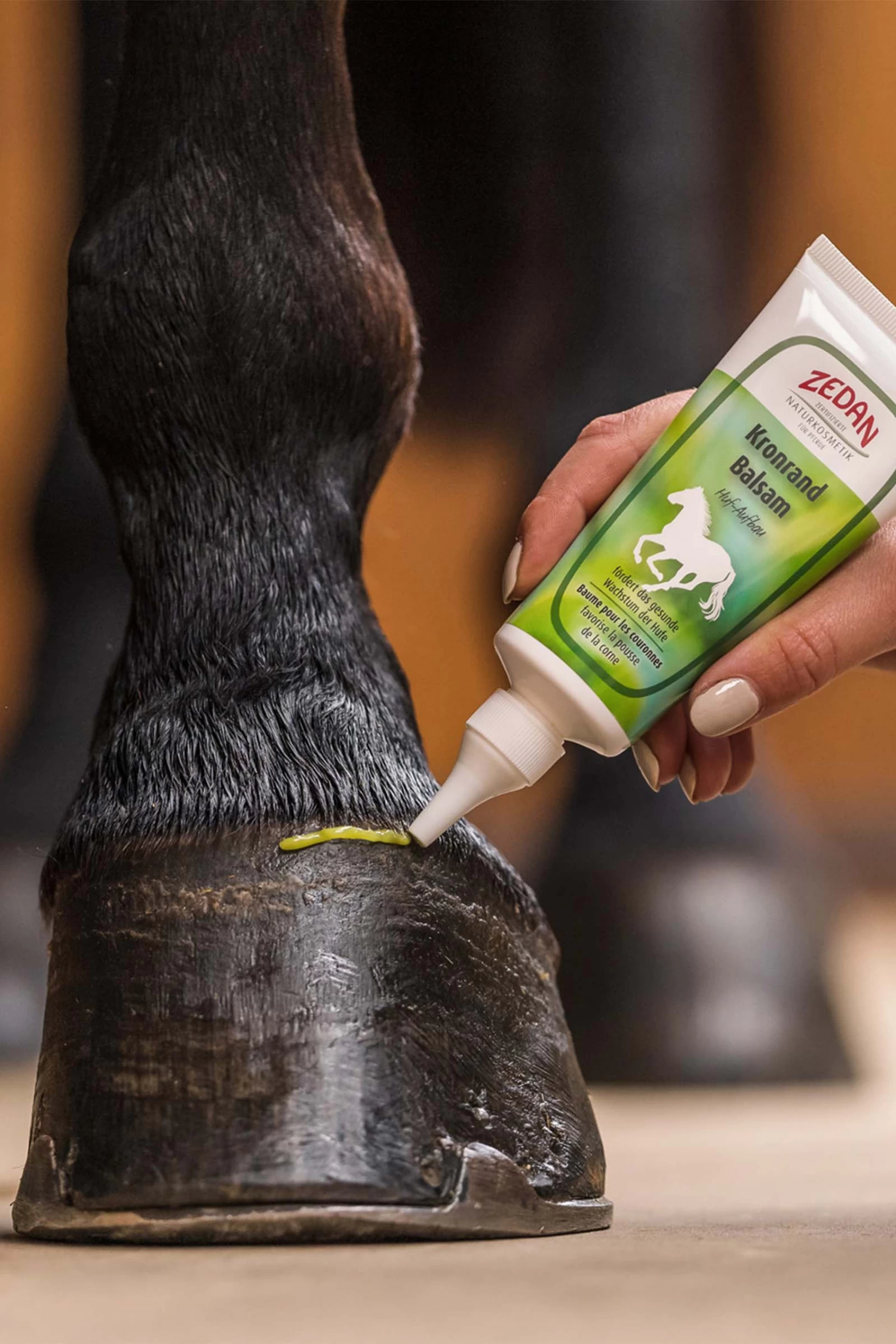 Zedan Kronrand Balsam Huf Aufbau, Hufe, 100ml 4 Zedan Kronrand Balsam Huf Aufbau, Hufe, 100ml – Bild 2