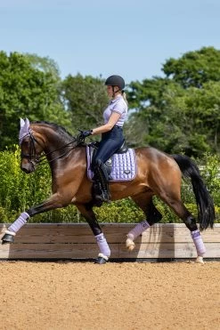 LeMieux Classic Fleece Bandagen -Reitsportbedarf 342145 WLPU 02