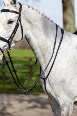 LeMieux Ringmartingal 19 LeMieux Ringmartingal -Reitsportbedarf 342217 BL 1