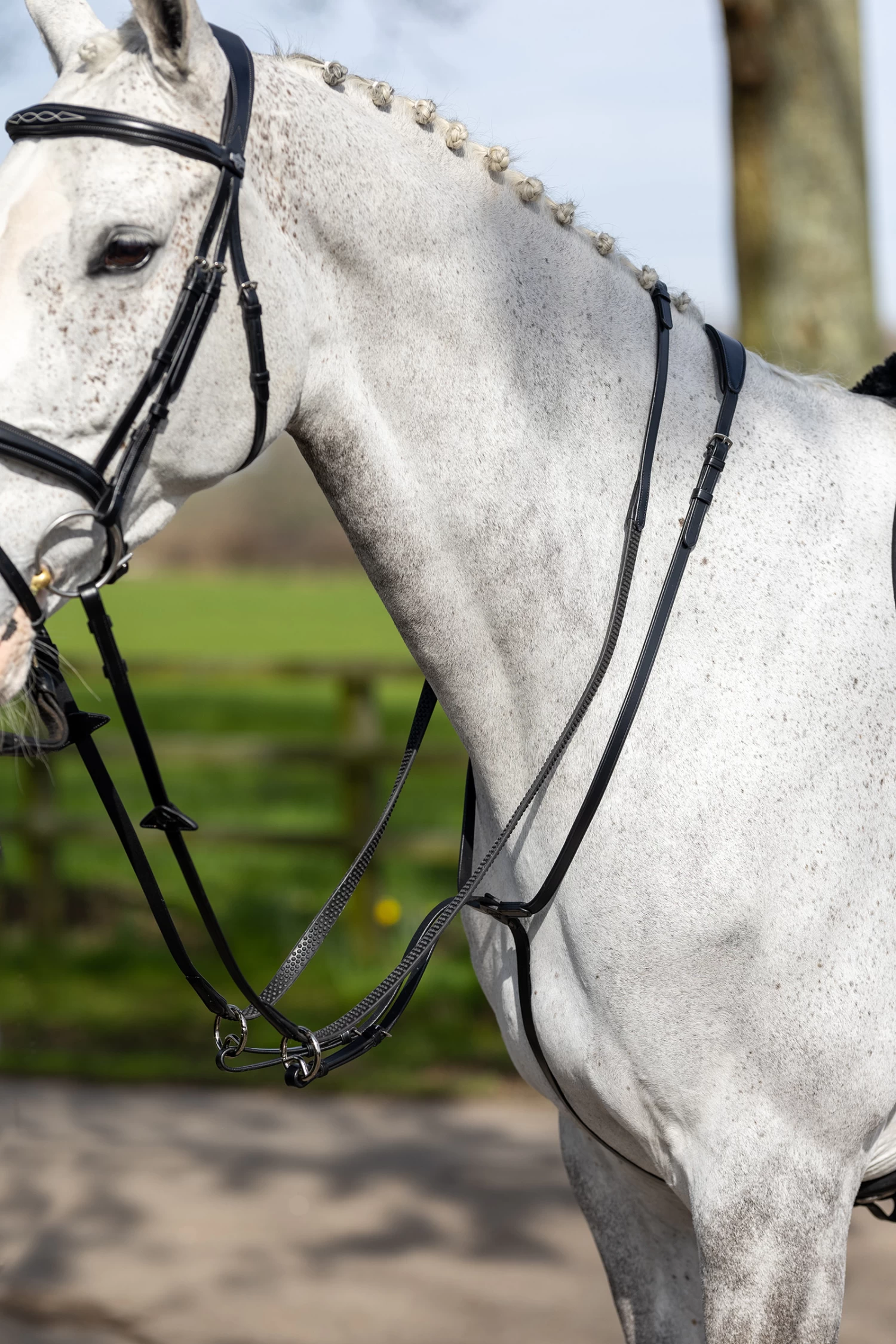 LeMieux Ringmartingal 8 LeMieux Ringmartingal – Bild 6