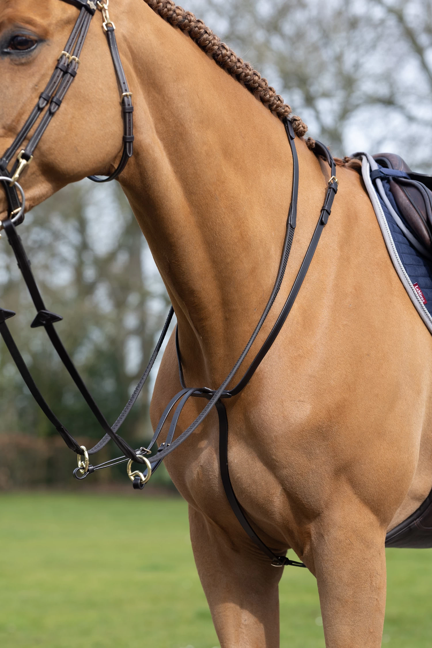 LeMieux Ringmartingal 4 LeMieux Ringmartingal – Bild 2