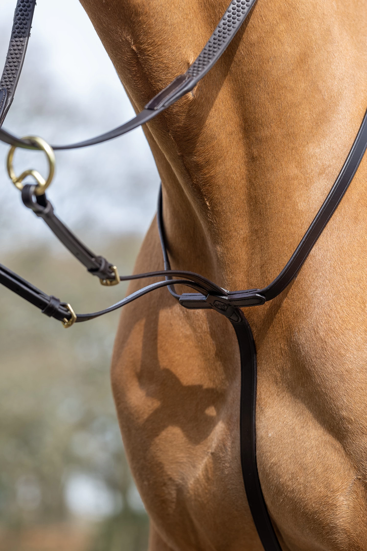 LeMieux Ringmartingal 5 LeMieux Ringmartingal – Bild 3