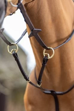 LeMieux Ringmartingal 23 LeMieux Ringmartingal -Reitsportbedarf 342217 HVBR 2