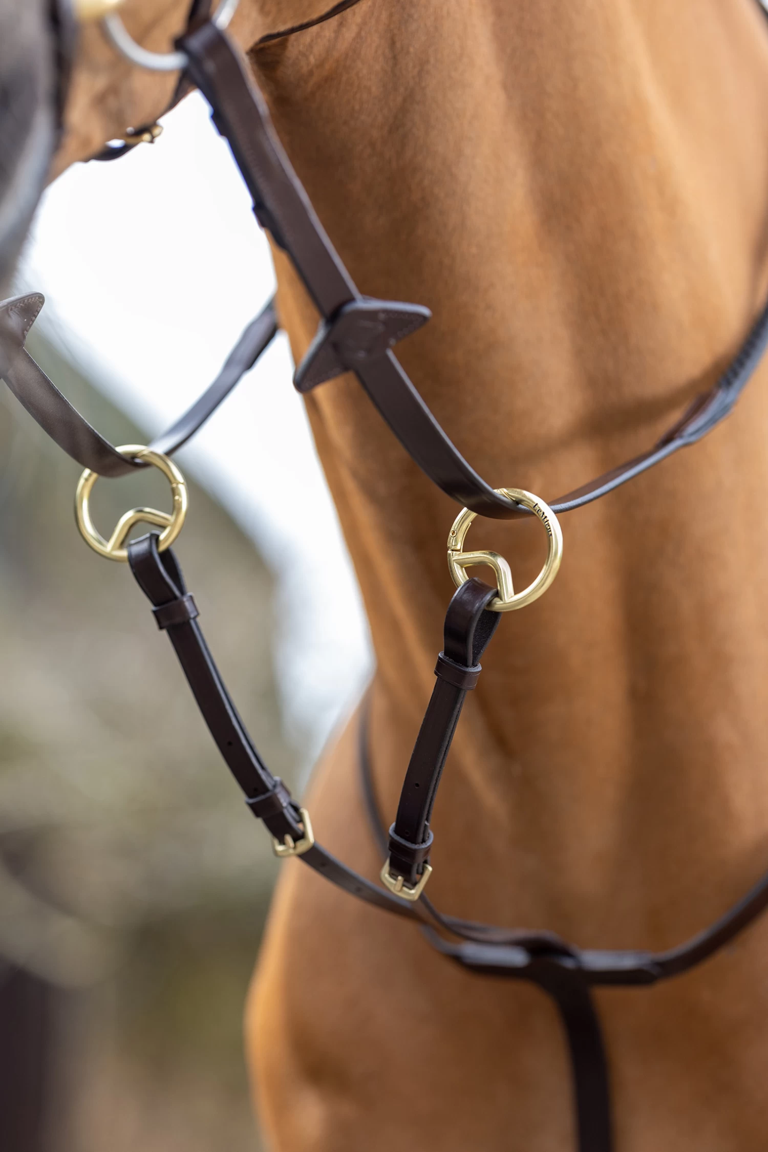 LeMieux Ringmartingal 12 LeMieux Ringmartingal – Bild 10