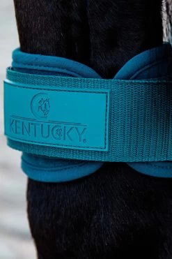 Kentucky Horsewear Jungpferde Streichkappe -Reitsportbedarf 342513 EGR 3