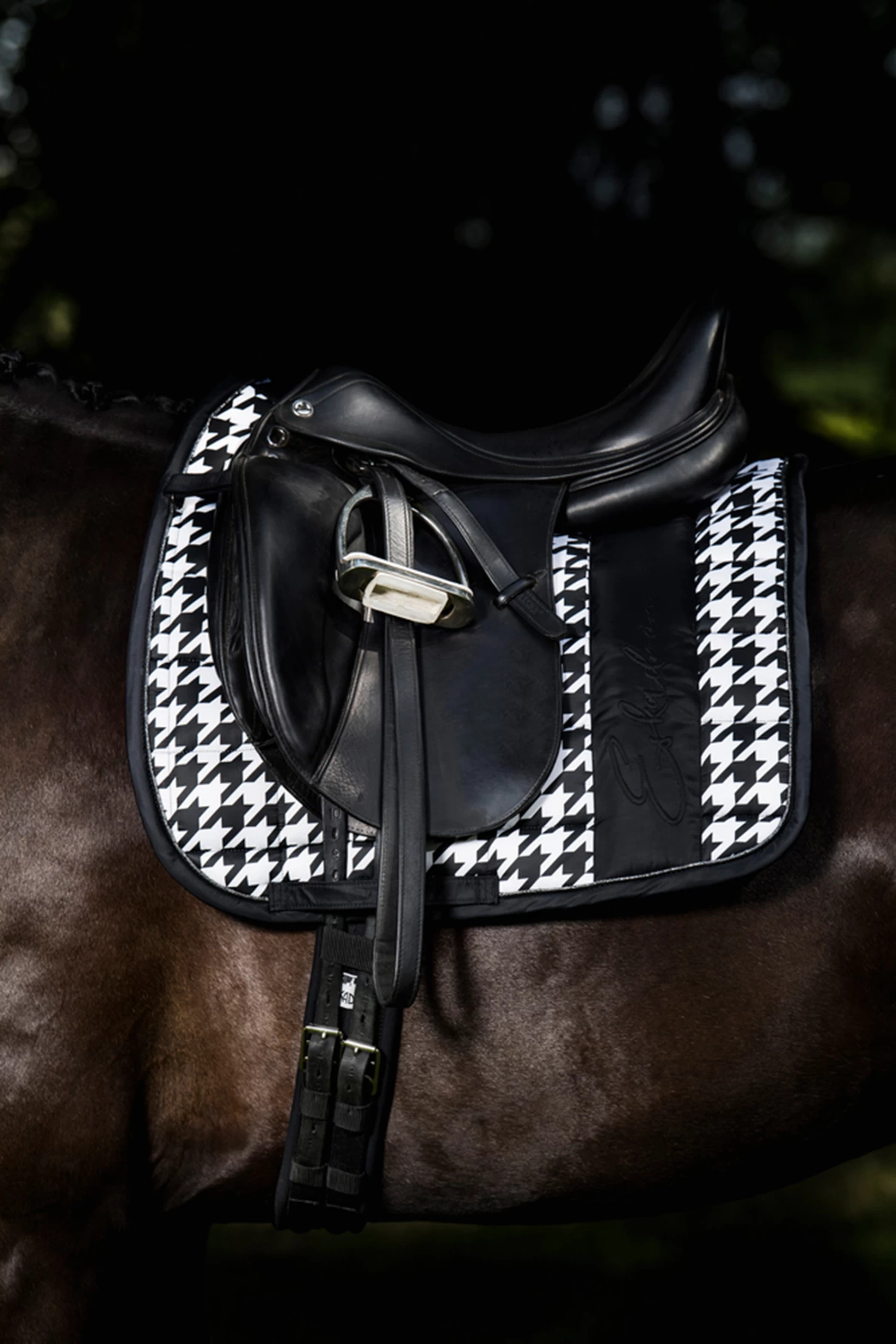 Eskadron Essence 22/23 Big Square Glossy Dressurschabracke 4 Eskadron Essence 22/23 Big Square Glossy Dressurschabracke – Bild 2