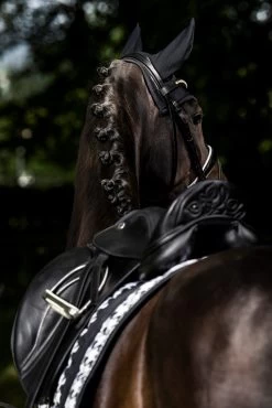 Eskadron Essence 22/23 Big Square Glossy Dressurschabracke 14 Eskadron Essence 22/23 Big Square Glossy Dressurschabracke -Reitsportbedarf 342542 BL WH LOGR 3