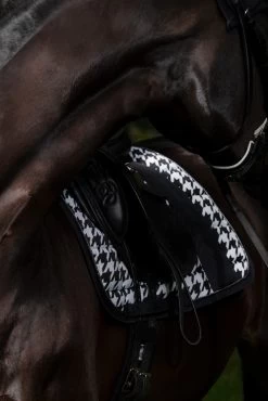 Eskadron Essence 22/23 Big Square Glossy Dressurschabracke 16 Eskadron Essence 22/23 Big Square Glossy Dressurschabracke -Reitsportbedarf 342542 BL WH LOGR 5