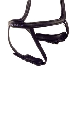 Kavalkade Kóngablár Ivy Reithalfter Für Aradis Islandtrense