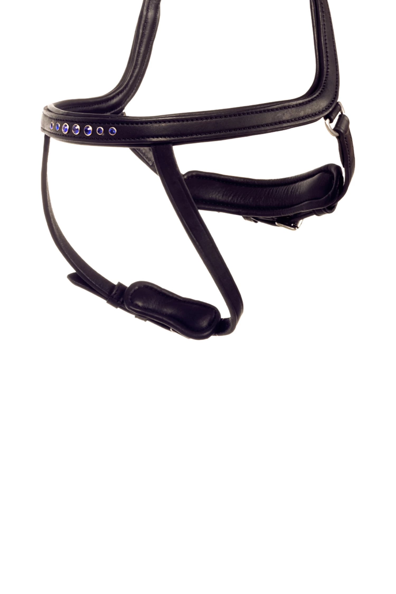 Kavalkade Kóngablár Ivy Reithalfter Für Aradis Islandtrense 3 Kavalkade Kóngablár Ivy Reithalfter Für Aradis Islandtrense