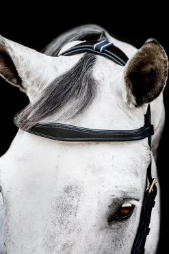 Horseware Rambo Micklem 2 Multi Trense 16 Horseware Rambo Micklem 2 Multi Trense -Reitsportbedarf 345014 BL 03