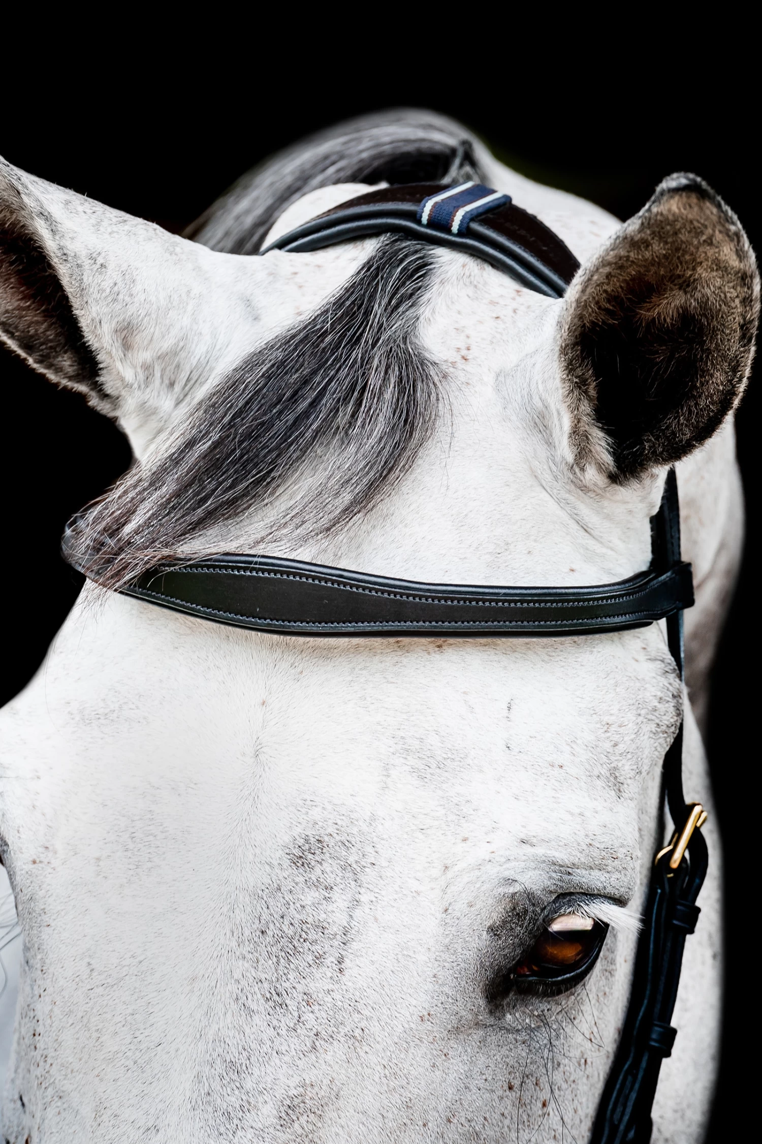 Horseware Rambo Micklem 2 Multi Trense 5 Horseware Rambo Micklem 2 Multi Trense – Bild 3