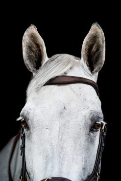 Horseware Rambo Micklem 2 Multi Trense 20 Horseware Rambo Micklem 2 Multi Trense -Reitsportbedarf 345014 DBR 02