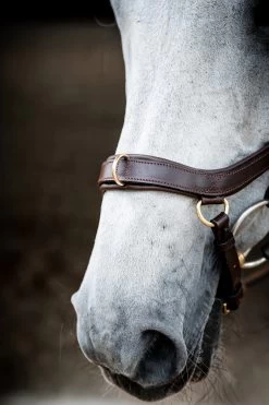 Horseware Rambo Micklem 2 Multi Trense 22 Horseware Rambo Micklem 2 Multi Trense -Reitsportbedarf 345014 DBR 04