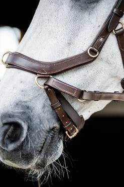 Horseware Rambo Micklem 2 Multi Trense 23 Horseware Rambo Micklem 2 Multi Trense -Reitsportbedarf 345014 DBR 05