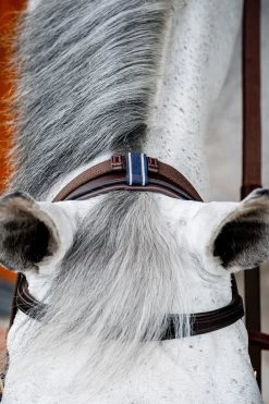 Horseware Rambo Micklem 2 Multi Trense 24 Horseware Rambo Micklem 2 Multi Trense -Reitsportbedarf 345014 DBR 06