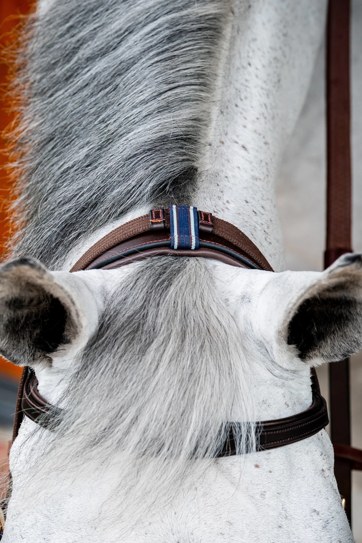 Horseware Rambo Micklem 2 Multi Trense 13 Horseware Rambo Micklem 2 Multi Trense – Bild 11