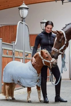 Eskadron Platinum 2023 Velvet Crystal Shetland Abschwitzdecke 9 Eskadron Platinum 2023 Velvet Crystal Shetland Abschwitzdecke -Reitsportbedarf 345484 PLB 02