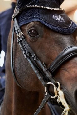 Eskadron Platinum Pure FS23 Glitter Mesh Fliegenhaube -Reitsportbedarf 345512 DB 03