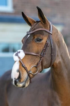 LeMieux Arika Mexikanische Trense 13 LeMieux Arika Mexikanische Trense -Reitsportbedarf 9TCGH 780 04