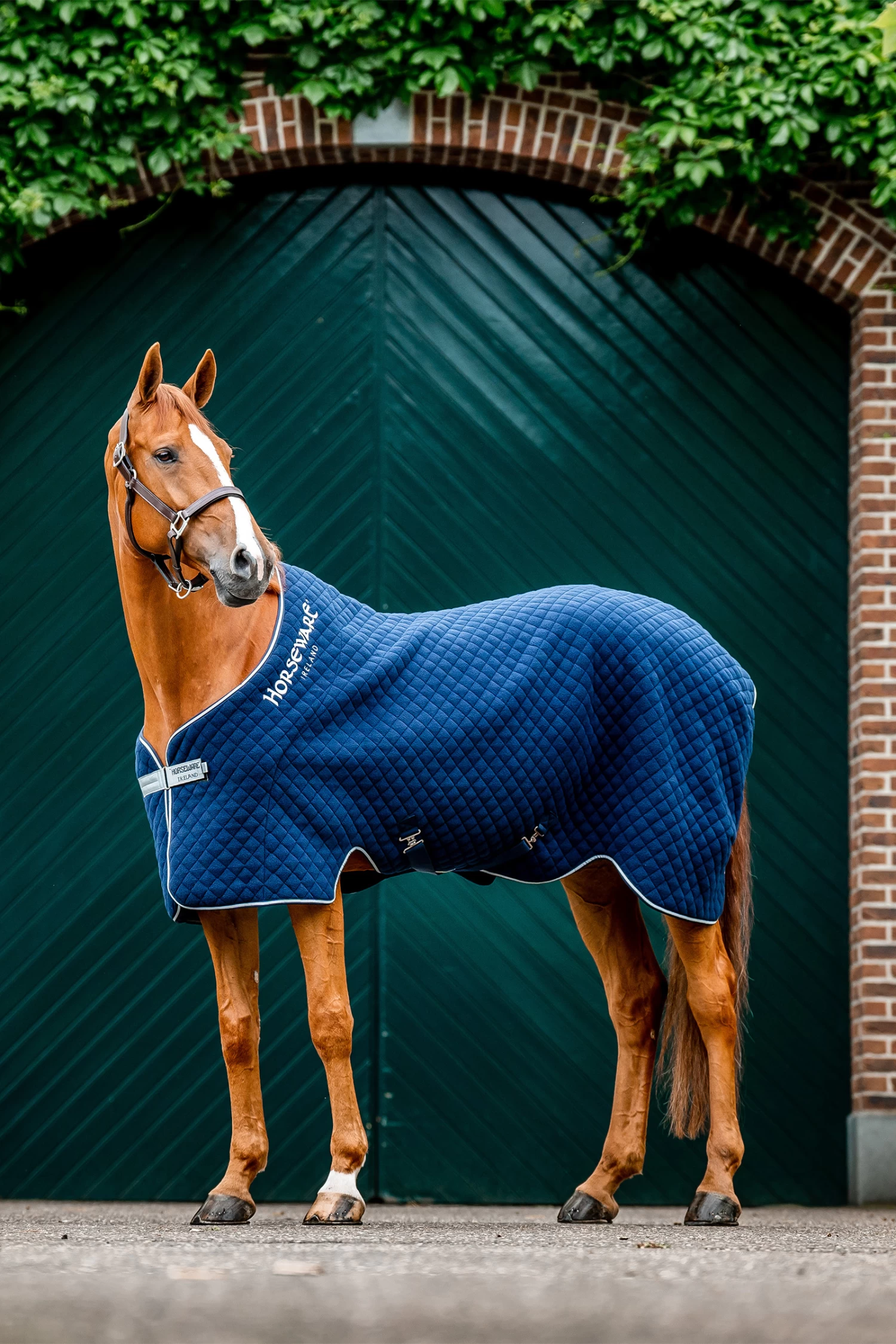 Horseware Autumn Cooler Abschwitzdecke 3 Horseware Autumn Cooler Abschwitzdecke