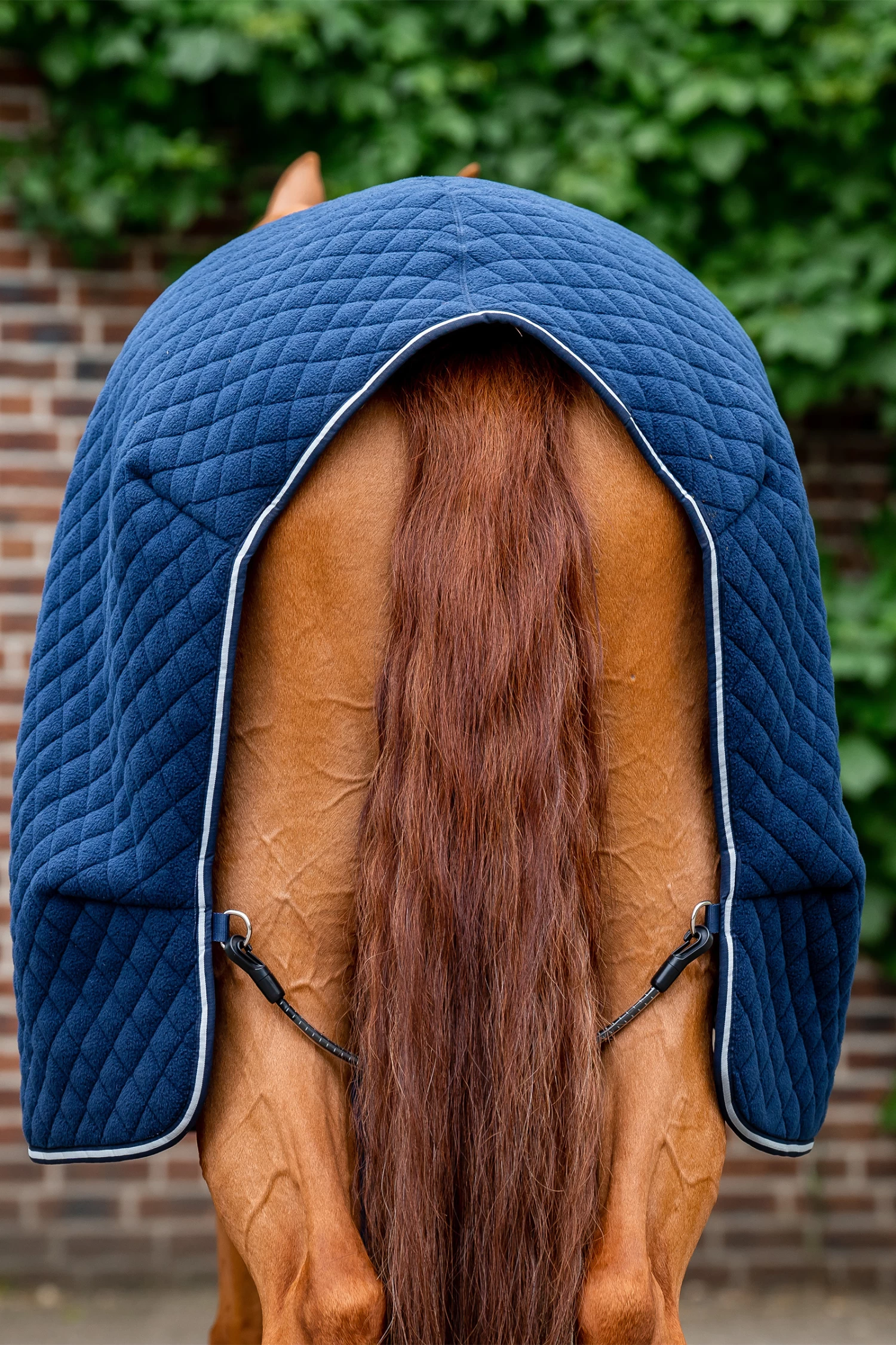 Horseware Autumn Cooler Abschwitzdecke 9 Horseware Autumn Cooler Abschwitzdecke – Bild 7