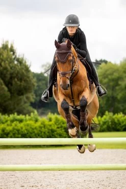 LeMieux Crystal Fliegenhaube 9 LeMieux Crystal Fliegenhaube -Reitsportbedarf Z1KR0 780 03