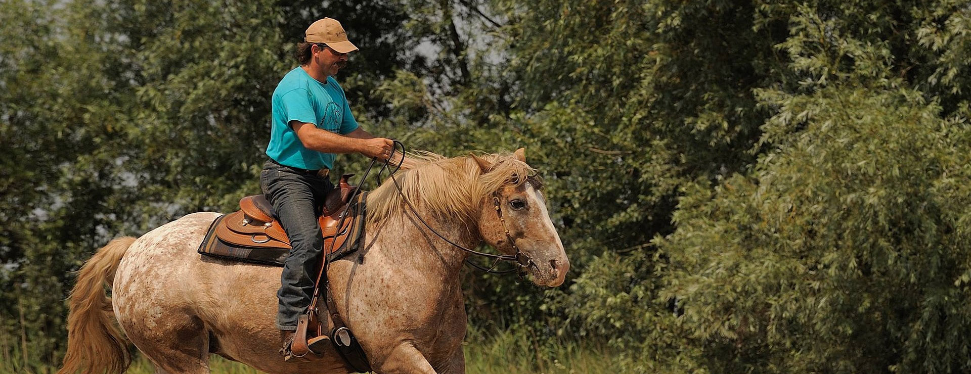 Reitsportbedarf -Reitsportbedarf western riding 587014 1920